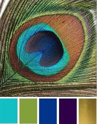Yellow and green are two colors that represent life and growth. Peacock Wedding Colors The Most Popular Colors For A Peacock Wedding Are Aqua Teal Green Gold Black And Pu Peacock Color Scheme Color Palette Color Schemes