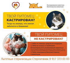 lgotnye sterilizacii sterlitamak vkontakte