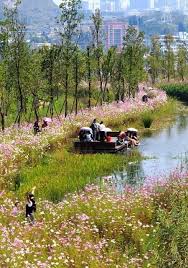Asla 2015 Professional Genera Design Honor Award Liupanshui Minghu Wetland Park Turenscape Landscapearchitectu Park Landscape Landscape Design Wetland Park