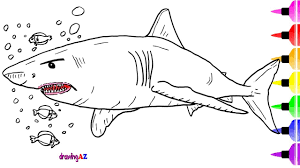 We did not find results for: Shark Drawing And Coloring Pages Dinosaur Coloring Page Youtube