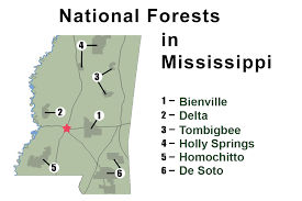 Holly springs national forest camping. National Forests In Mississippi About The Forest
