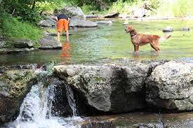 The Whole Family Enjoying Time At Devils River Campground In Scenic Maribel Wi Scenic Enjoy Time Wisconsin