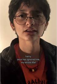 Percy Jackson Meets Harry Potter: A Crossover Story