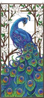 birds panosundaki pin