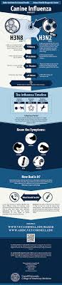 Pin On Veterinary Stuff 3