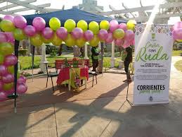 15 días antes del 1ro, colocar en la caña y mantener cerrado la ruda, en lugar seco y fresco. La Provincia Repartio Botellitas De Cana Con Ruda Lados