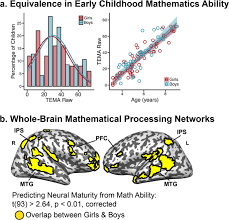Je suis un homme sportif qui profite de la vie à pleine dents, qui adore rigoler et m'intéresser à la personne que je reçois. Gender Similarities In The Brain During Mathematics Development Npj Science Of Learning