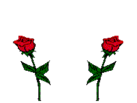 love roses rosas imagenes animadas gifs