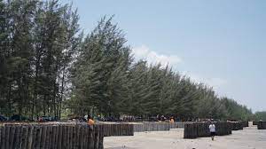 Tanda tambah di awal nomor telepon biasanya bisa digunakan dalam format ini. Pantai Lamaru Suasana Menghijau Di Kalimantan Timur Kalimantan Timur
