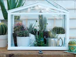 There are different ways on how to grow cactus seeds. Ikea Mobler Inredning Och Inspiration Indoor Greenhouse Mini Greenhouse Greenhouse