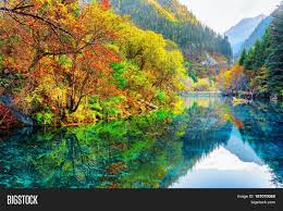 Check spelling or type a new query. Five Flower Lake Image Photo Free Trial Bigstock