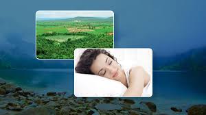 सपने में हरियाली देखना देता है इस बात का संकेत, जानें | meaning of seeing  greenery in dreams | HerZindagi