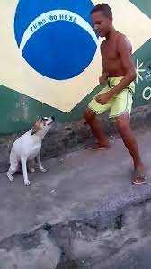 Dog Does Brazilian Dance With Boy Jukin Media Inc