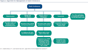 Statins Practical Considerations