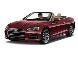 Image result for Argus Brown 2019 A5