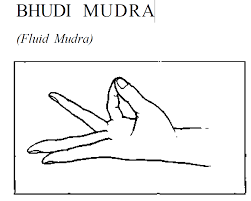 Mudra for hair loss, baldness, dry hair, and mudra for hair growth, precautions, how to do, duration and prassanna mudra is also included. Nagendra Page 5 Learn Self Healing Techniques Online