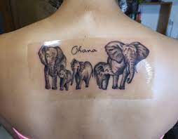 Familia elefantes ave tatuaje pequeno de elefante tatuaje familia de elefantes tatuajes de elefantes. Familia De Clauw Garcia Tattoo Micropigmentacion Facebook