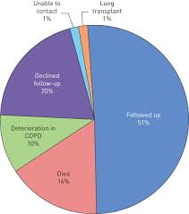 longitudinal follow up of quadriceps strength and function