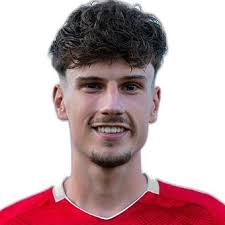 Profile Stefan Mitrev, Dietikon: Info, news, matches and statistics