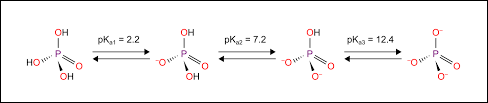 What S The Pka Of The Phosphate Group In Dna And Rna Molecules