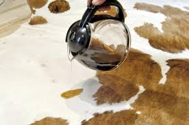 You may need a cle. How To Clean Dog Urine From A Cowhide Rug Quora