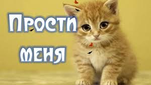 прости меня за то что я люблю тебя стихи Prosti Menya Lyubimaya Lyubimaya Prosti Menya Lyubimaya Lyubi Menya Lyublyu Tebya Prosti Pozhalujsta Otkrytka Prosti Menya Proshenie U Lyubimoj Devushki Proshu P Cats Animals