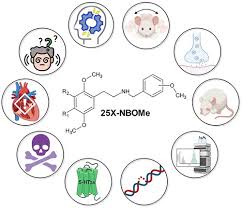 Image result for NBOMe