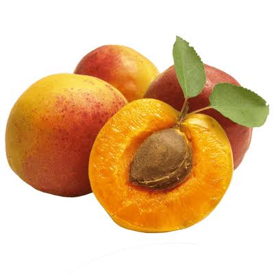 نهال زردآلو رکسانا