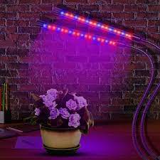 Most Herbs And Vegetable Plants Require A High Light Intensity To Yield A Harvest Evaluating Indoor Lighting Options Led Grow Lights Grow Lights Hydroponics