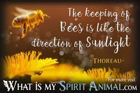 Looking for the best flower quotes? Bee Quotes Sayings Animal Quotes Sayings