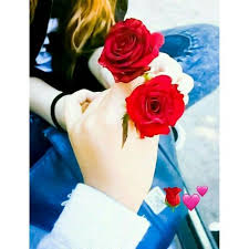 Maybe you would like to learn more about one of these? 120 Rose Dpz Ideas Rose Beautiful Roses Beautiful Flowers
