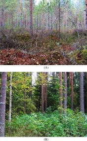 Find directions and contact info, read reviews and browse photos on their 411 business listing. Recycling Of Ash For The Good Of The Environment Sciencedirect