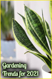 Choose plants that work both indoors. 25 Garden Trends Ideas In 2021 Small Gardens Garden Design Garden