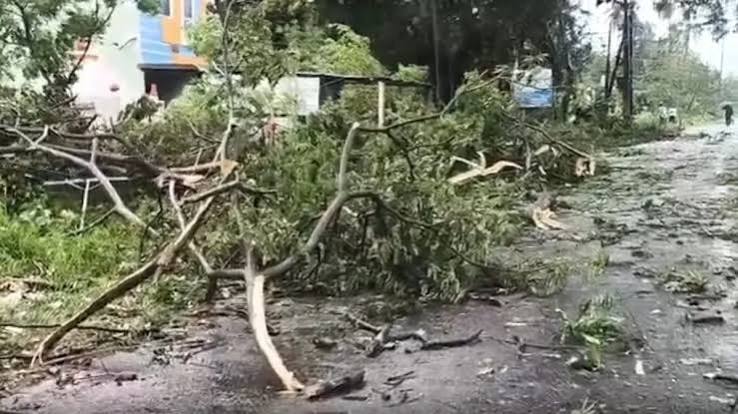 Cyclone Arnab: South Central Railway Cancels 11 Trains Ahead of Landfall | Bumppy
