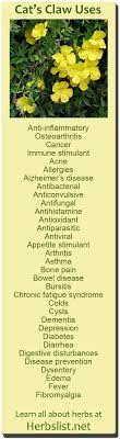 Pin On Apothecary Herbalist By Nature Healing Arts Herbs Salves Potions