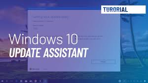 Allows your icons on the desktop to have a. Question What Is Windows 10 Upgrade Assistant Os Today