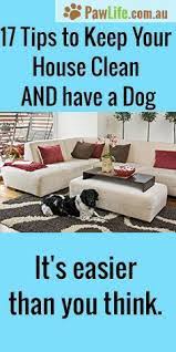 It S Easy To Keep Your Home Clean And Fresh While Having A Dog Inside With My 17 Tips To Keep Your House Clean And Dog Cleaning Clean House House Cleaning Tips