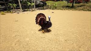 I'm still experimenting with this so i can't say much about it. Ark Survival Evolved Turkey Trial 3 Where To Find Wishbones Vg247