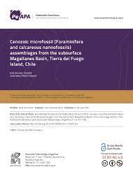 The generic type name gentype is used to indicate that the function can take float, float2, float4, float8, or float16 as the. Pdf Cenozoic Microfossil Foraminifera And Calcareous Nannofossils Assemblages From The Subsurface Magallanes Basin Tierra Del Fuego Island Chile