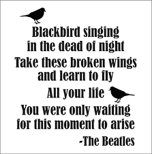 Blackbird Singing In The Dead Of Night Lyrics Blackbird Beatles Song Lyrics Beatles Song Lyrics Beatles Quotes Beatles Songs
