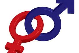 Jupriono juga menulis bahwa dalam tinjauan etimologisnya, kata perempuan bernilai cukup tinggi—tidak di bawah, tetapi sejajar, bahkan lebih tinggi daripada kata lelaki. Cewek Atau Cowok Yang Lebih Gampang Terangsang Hai