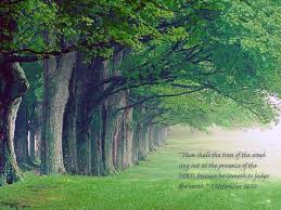 1 Chronicles 16 33 Sing For Joy Tree Wallpaper Backgrounds Christian Wallpaper Free Christian Wallpaper