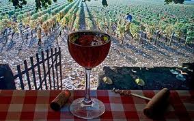 Bandol Provence Bacchanalian Pleasures Maison De The Vin Vigne