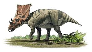 Paleontology Wallmonkeys Prehistoric Animals Extinct Animals Animals