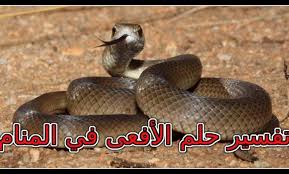 تفسير رؤية الافعى في المنام. Ø­Ù„Ù… Ø§Ù„Ø§ÙØ¹Ù‰ Cooknays Com