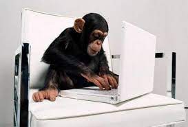Image Result For Monkey On Computer Pensamentos