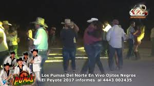 El dano de tus besos, como te sone, correteando la liebre. Encommium Joseph Banks Frente Ojitos Negros Con Los Pumas Del Norte Economia Sollozos Profesor De Escuela