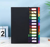 Rainbow 12-Pocket A4 File Organizer - Durable PVC * Document Holder for  Office and School Supplies