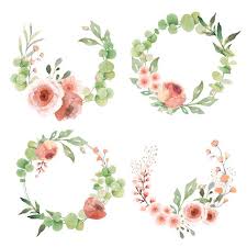 Lovely Wreath Collection With Eucalypt Leaves And Flowers Free Vector Watercolor Flower Wreath Wreath Drawing Wreath Watercolor