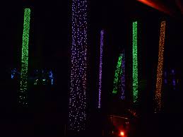Garden Lights Atlanta Botanical Garden 12 2014 Atlanta Art Atlanta Botanical Garden Neon Signs